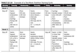 Training Program Considerations For Endurance Runners