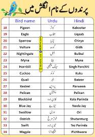 birds name in english to urdu and hindi