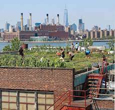 A Farm Grows In Brooklyn The Leonard
