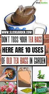 Don T Toss Your Tea Bags Here Are 10
