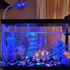 Amazon Com Ectenx Led Aquarium Light Fish Tank Light 24 Leds Clip On Fish Tank Lighting Color With White Blue Home Improvement