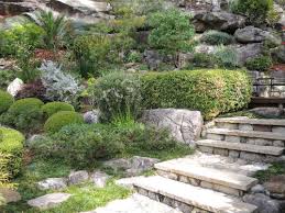 Joan Zande S Garden A Design With