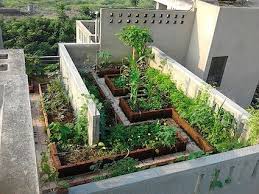 Rooftop Garden India On