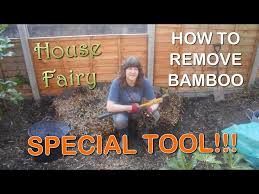 get rid of bamboo from your garden