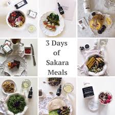 3 days of sakara meals a review