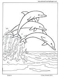 The spruce / wenjia tang take a break and have some fun with this collection of free, printable co. Pin By Ecp Publishing On Thema Dolfijnen Kleuters Dolphin Tehem Preschool Dolphin Coloring Pages Animal Coloring Pages Whale Coloring Pages