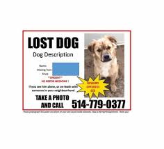 40 Lost Pet Flyers Missing Cat Dog Poster Template Archive