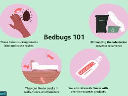 the science behind why bed bug bites