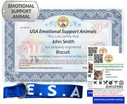 Unlike a service animal an emotional support animal is not a working animal but a pet that has been prescribed by a licensed mental health counselor or medical doctor. Emotional Support Animal Registration Usa Esa