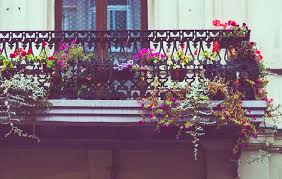 Eco Friendly Balcony Garden