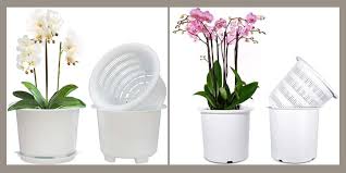 15 best pots for orchids types and