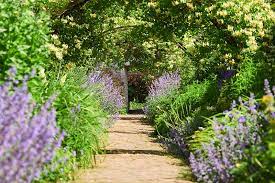 Garden Paths In Your Yard