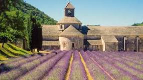 what-is-the-best-time-of-year-to-go-to-provence