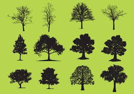 Image result for trees