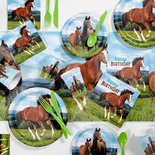 creative converting wild horse birthday party supplies kit