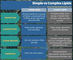 Difference Between Simple And Complex Lipids Compare The
