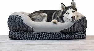the 9 best orthopedic dog beds