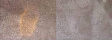 carpet dyeing bleach repair