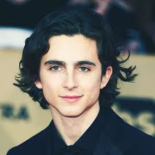 But to replicate this particular style, you can go for a and stop touching your hair, says oakley. How To Get Timothee Chalamet S Hair