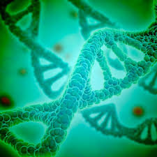 dna facts and information