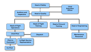 Quality Assurance Organization Ac Aviation Documentation