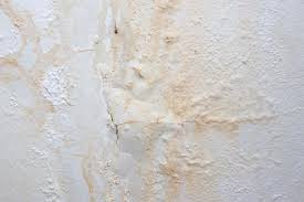 Avoid Waterproof Paints Wall Coatings
