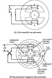 pole motor an overview