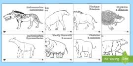 This video is aimed more at our youngest audience. Stone Age Colouring Sheets Homes Teacher Made