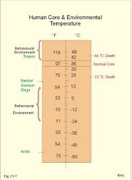 thermoregulation rature and