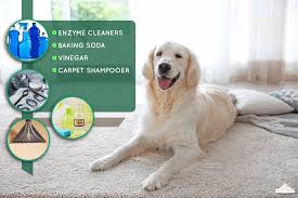 is carpet deodorizer safe for pets