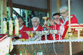 Image result for s Photo Pope Paul VI and archbishop lefebvre