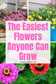 The Easiest Flowers To Grow And They