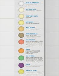 free printable urine color charts word