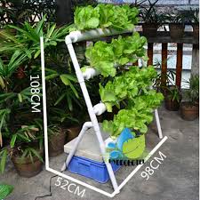 Thought i would share some information and pictures on the type of hydroponics system/nft i have been using since 2005. Nft Hydroponics Grow System Pvc Tube 36pcs Net Pot 4 Pipe Include Water Pump Timer Diy Parts Nursery Trays Lids Aliexpress