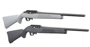 the new less expensive ruger 10 22
