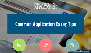 College Application Essay Tips for International Students the Practice