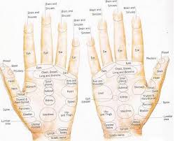 Reflexology Hand Chart A Detailed Example Hand