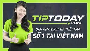 Những nhà cái cá độ uy tín hàng đầu thị trường Việt Nam 