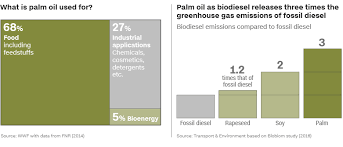 Indonesia Deforestation The Worlds Demand For Palm Oil Is