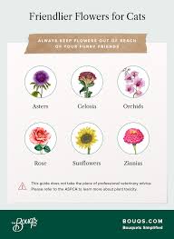 list of non toxic flowers that may be