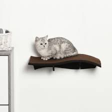 Wall Mounted Cat Shelf Perch Kitten Bed