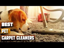 pet carpet cleaner which are the best