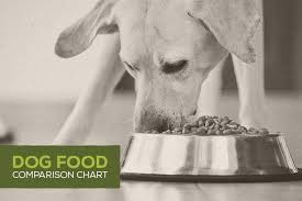 dog food comparison chart infographic