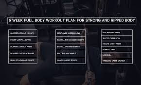 full body workout plan for fat loss
