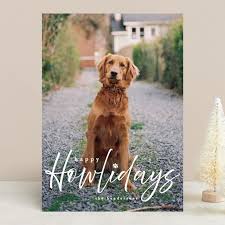 Maybe you would like to learn more about one of these? 53 Cutest Dog Holiday Photo Cards For 2020