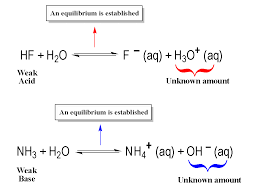 Ph And Poh Chemistry Video Clutch Prep