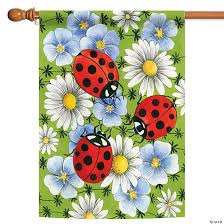 Ladybug Party Supplies Decorations