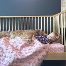 turn twin bed into crib