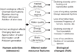 human activities alter five water
