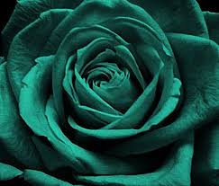 Maybe you would like to learn more about one of these? Teal Green Rose Aesthetic Roses Green Backgrounds Green Aesthetic